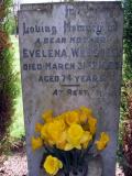 image of grave number 348096